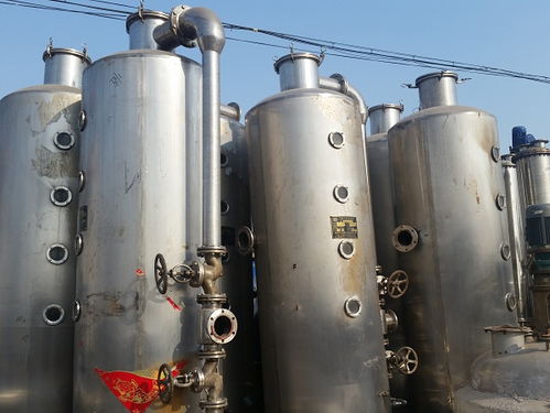 淮滨县提供二手冻干机 东富龙冻干机价格 生产厂家